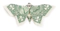 Dollar origami butterfly on white background