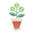 Dollar plant in the pot. Financial growth concept. Vector illustration.