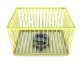 Dollar sign in golden cage Royalty Free Stock Photo