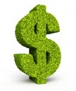 Dollar sign leaf formation Royalty Free Stock Photo