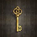 Dollar sign shape golden treasure key