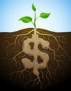 Dollar sign is shown as root of plant