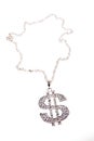 Dollar symbol necklace