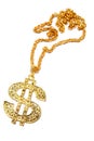 Dollar symbol necklace Royalty Free Stock Photo