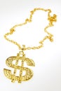 Dollar symbol necklace Royalty Free Stock Photo