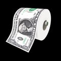 Dollar toilet paper Royalty Free Stock Photo