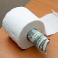 Dollar in toilet paper roll Royalty Free Stock Photo