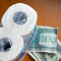 Dollar in toilet paper roll Royalty Free Stock Photo