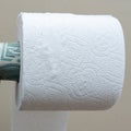 Dollar in toilet paper roll Royalty Free Stock Photo