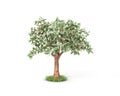 Dollar tree with hundred dollar bills