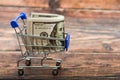 Dollar in a trolley, money in a consumer basket Royalty Free Stock Photo