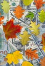 Dollars and autumn leaves Royalty Free Stock Photo