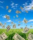 Dollars on background sky and herbs. Royalty Free Stock Photo