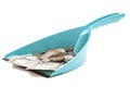 Dollars banknote with coins in blue dustpan Royalty Free Stock Photo