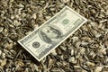Dollars banknotes and sunflower seeds, Royalty Free Stock Photo