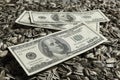 Dollars banknotes and sunflower seeds, oleaginous Commodity Royalty Free Stock Photo