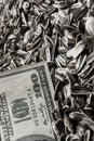 Dollars banknotes and sunflower seeds, Royalty Free Stock Photo