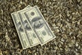 Dollars banknotes and sunflower seeds, Royalty Free Stock Photo