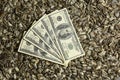 Dollars banknotes and sunflower seeds, Royalty Free Stock Photo