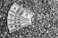 Dollars banknotes and sunflower seeds, Royalty Free Stock Photo