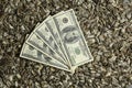 Dollars banknotes and sunflower seeds, Royalty Free Stock Photo