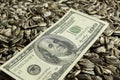 Dollars banknotes and sunflower seeds, oleaginous Commodity Royalty Free Stock Photo