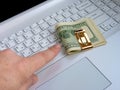 Dollars and computer Royalty Free Stock Photo