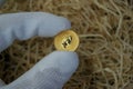 25 dollars Elizabeth II. Australian pure gold investment coin. A gold coin in the hands of an appraiser. Royalty Free Stock Photo