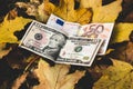 Dollars and euros lie on a yellow fallen autumn leaf, the concept of falling price of the Euro and the dollar