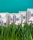 Dollars in the Grass Royalty Free Stock Photo