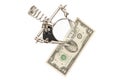 Dollars through a magnifying glass Royalty Free Stock Photo