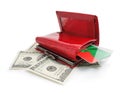 Dollars money in the red purse isolated Royalty Free Stock Photo