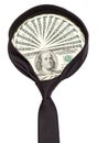 Dollars necktie Royalty Free Stock Photo