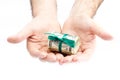 Dollars rolled into a tube in the hands Royalty Free Stock Photo