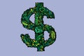 Dollars sign icon. USD currency symbol. Money label.