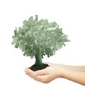 Dollars tree Royalty Free Stock Photo