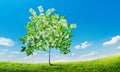 Dollars tree Royalty Free Stock Photo