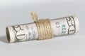 Dollars twisted into a roll isolated on white background Royalty Free Stock Photo
