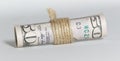 Dollars twisted into a roll isolated on white background Royalty Free Stock Photo