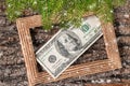 Dollars on wooden photo frame with decorative branches Royalty Free Stock Photo