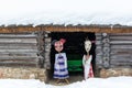 Dolls in MeteÃâ i mumming masks and costumes of pig and goat standing at log cart-house. Meteni is ancient Latvian spring waiting