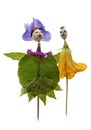 Dolls from poppy head and flower Royalty Free Stock Photo