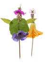 Dolls from poppy head and flower Royalty Free Stock Photo