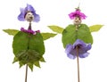Dolls from poppy head and flowers