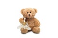 Dolls and Teddy Royalty Free Stock Photo