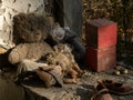 Dolls and toys in an abandoned kindergarten building after the explosion of the reactor in Chernobyl.