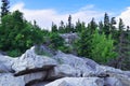 Dolly Sods National Wilderness in Summer Royalty Free Stock Photo