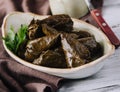 Dolma cabbage rolls grape leaves with filling Royalty Free Stock Photo