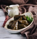 Dolma cabbage rolls grape leaves with filling and white sauce