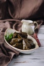 Dolma cabbage rolls grape leaves with filling and white sauce Royalty Free Stock Photo